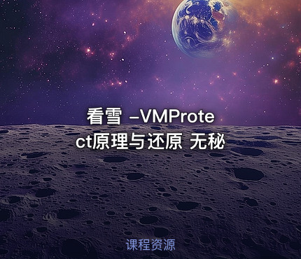 看雪 -VMProtect原理与还原 无秘