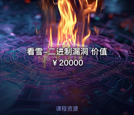 看雪-二进制漏洞 价值￥20000