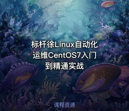 标杆徐Linux自动化运维CentOS7入门到精通实战