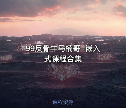 99反骨牛马楠哥-嵌入式课程合集