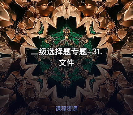 二级选择题专题-31.文件