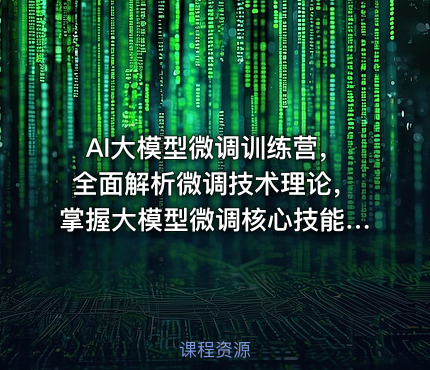 AI大模型微调训练营，全面解析微调技术理论，掌握大模型微调核心技能课程