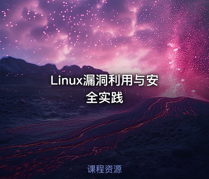 Linux漏洞利用与安全实践