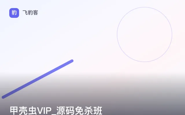 甲壳虫VIP_源码免杀班