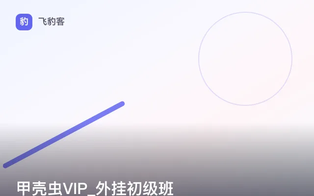 甲壳虫VIP_外挂初级班