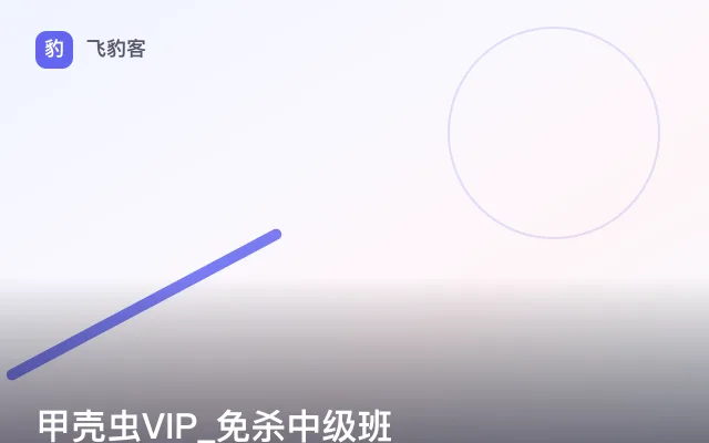 甲壳虫VIP_免杀中级班