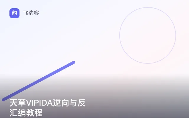 天草VIPIDA逆向与反汇编教程