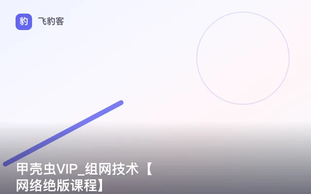 甲壳虫VIP_组网技术【网络绝版课程】