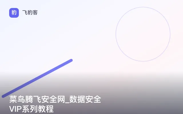 菜鸟腾飞安全网_数据安全VIP系列教程