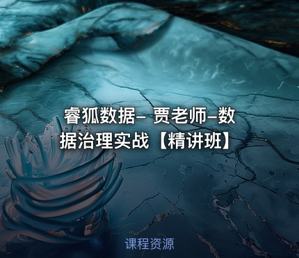 睿狐数据- 贾老师-数据治理实战【精讲班】