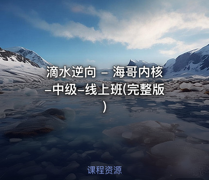 滴水逆向 - 海哥内核-中级-线上班(完整版)