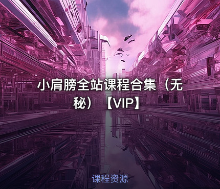 小肩膀全站课程合集（无秘）【VIP】