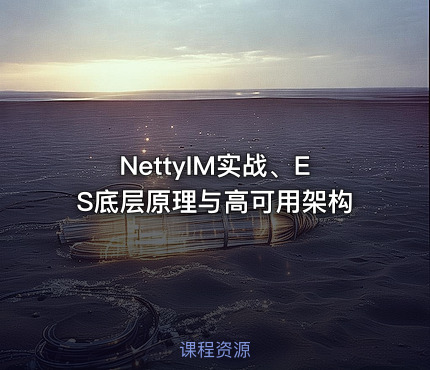 NettyIM实战、ES底层原理与高可用架构