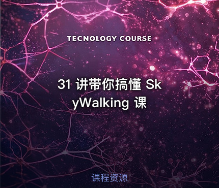 31 讲带你搞懂 SkyWalking 课