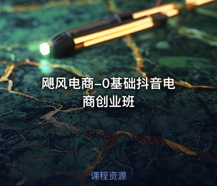 飓风电商-0基础抖音电商创业班