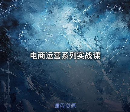 电商运营系列实战课