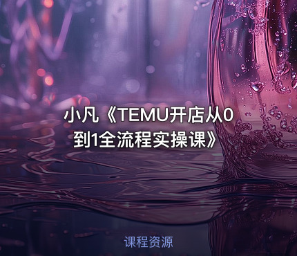 小凡《TEMU开店从0到1全流程实操课》