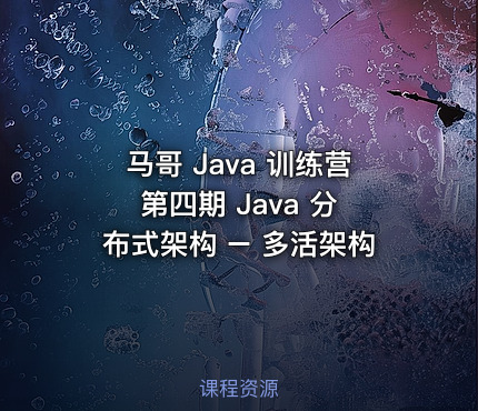马哥 Java 训练营 第四期 Java 分布式架构 – 多活架构