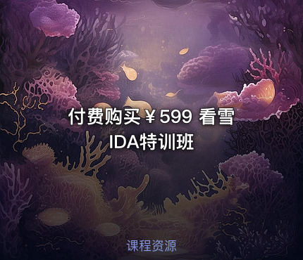 付费购买￥599 看雪 IDA特训班