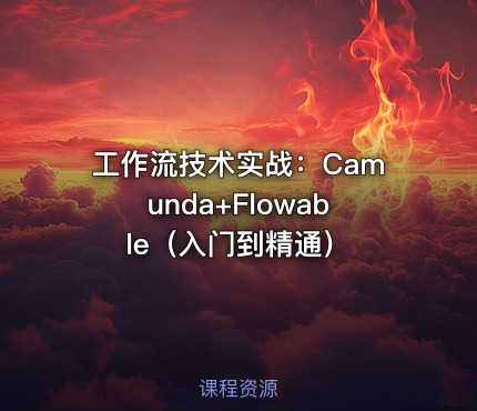 工作流技术实战：Camunda+Flowable（入门到精通）