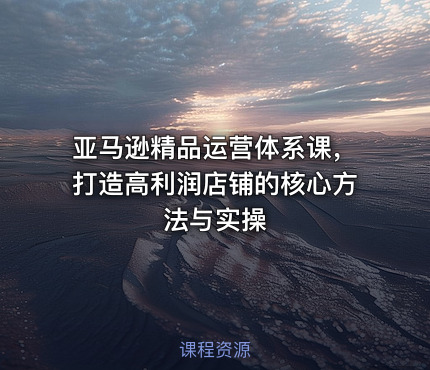 亚马逊精品运营体系课，打造高利润店铺的核心方法与实操