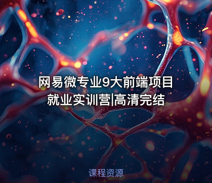 网易微专业9大前端项目就业实训营|高清完结