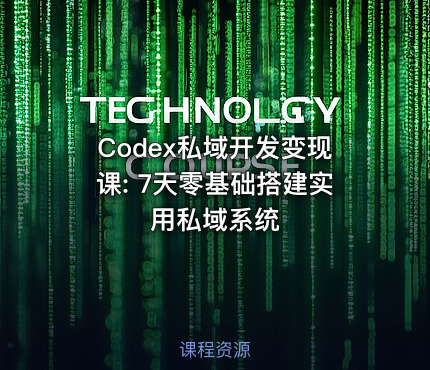 Codex私域开发变现课: 7天零基础搭建实用私域系统