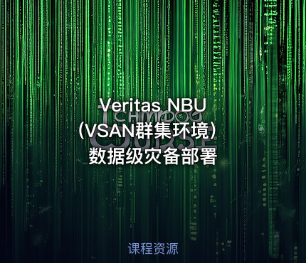 Veritas NBU (VSAN群集环境）数据级灾备部署