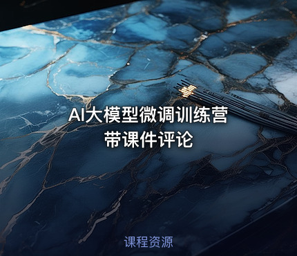 AI大模型微调训练营 带课件评论