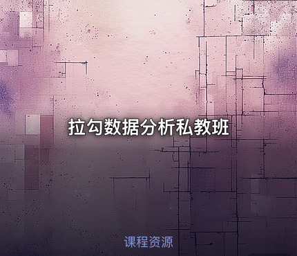 拉勾数据分析私教班