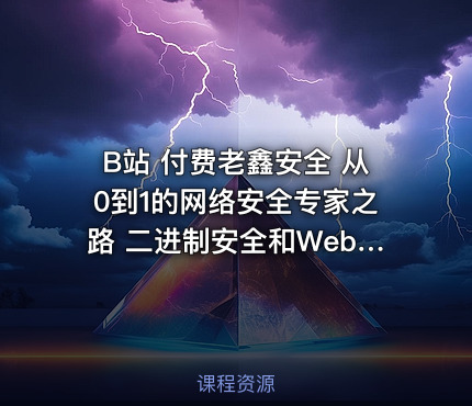 B站 付费老鑫安全 从0到1的网络安全专家之路 二进制安全和Web安全