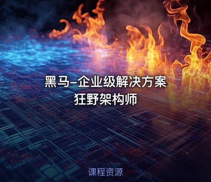 黑马-企业级解决方案 狂野架构师
