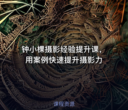 钟小棵摄影经验提升课，用案例快速提升摄影力