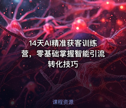 14天AI精准获客训练营，零基础掌握智能引流转化技巧