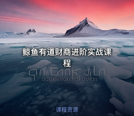 鲸鱼有道财商进阶实战课程