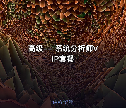 高级-- 系统分析师VIP套餐