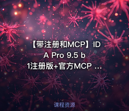 【带注册和MCP】IDA Pro 9.5 b1注册版+官方MCP 雷霆大发布！