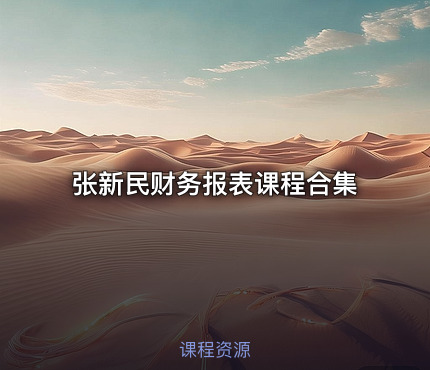 张新民财务报表课程合集