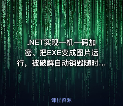 .NET实现一机一码加密、把EXE变成图片运行，被破解自动销毁随时授权回收