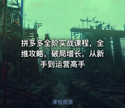 拼多多全阶实战课程，全维攻略，破局增长，从新手到运营高手