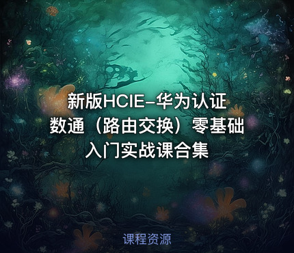 新版HCIE-华为认证数通（路由交换）零基础入门实战课合集