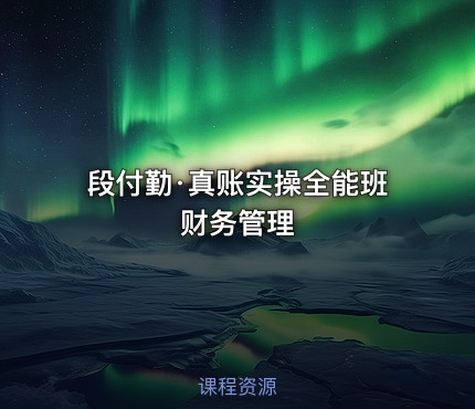 段付勤·真账实操全能班财务管理