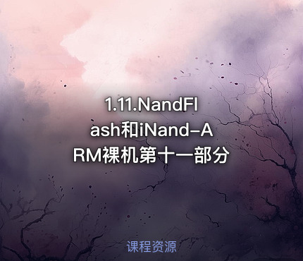 1.11.NandFlash和iNand-ARM裸机第十一部分