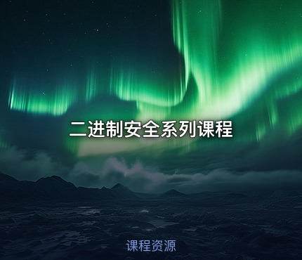 二进制安全系列课程