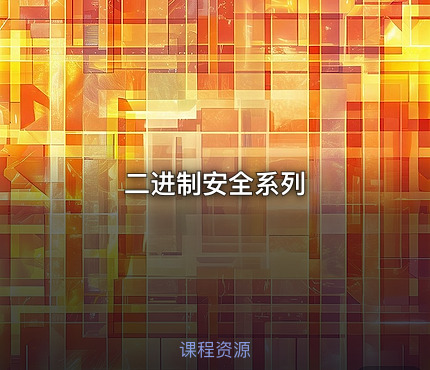 二进制安全系列
