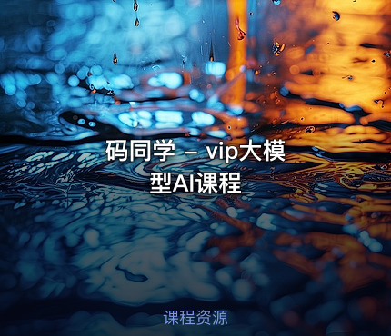 码同学 - vip大模型AI课程