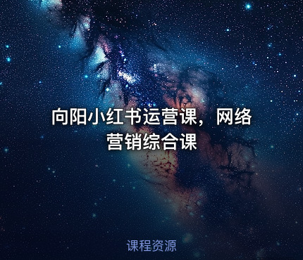 向阳小红书运营课，网络营销综合课