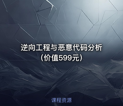 逆向工程与恶意代码分析（）