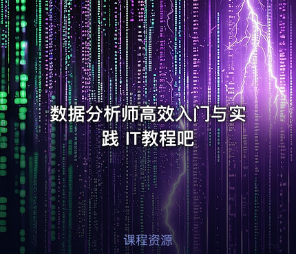 数据分析师高效入门与实践 IT教程吧