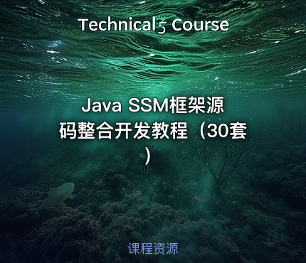 Java SSM框架源码整合开发教程（30套）